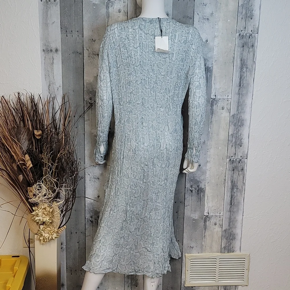 Zara Semi Sheer Wrinkled Button Down Dress - Picture 14 of 16